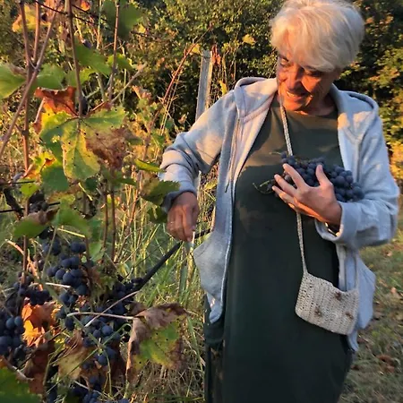 Host El Greco Kalambaka