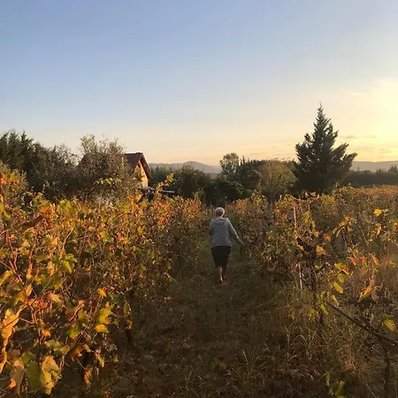 旅馆 业主埃尔格列柯旅舍 卡兰巴卡