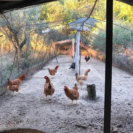 Vandrerhjem Host El Greco Kalambaka