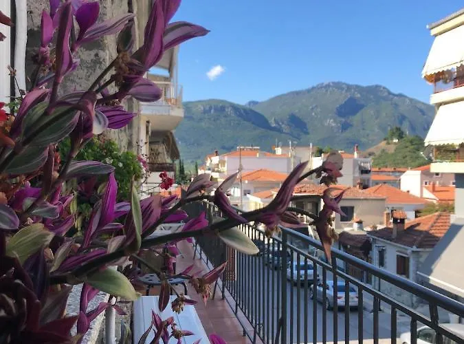 Host El Greco * קאלאבאקה