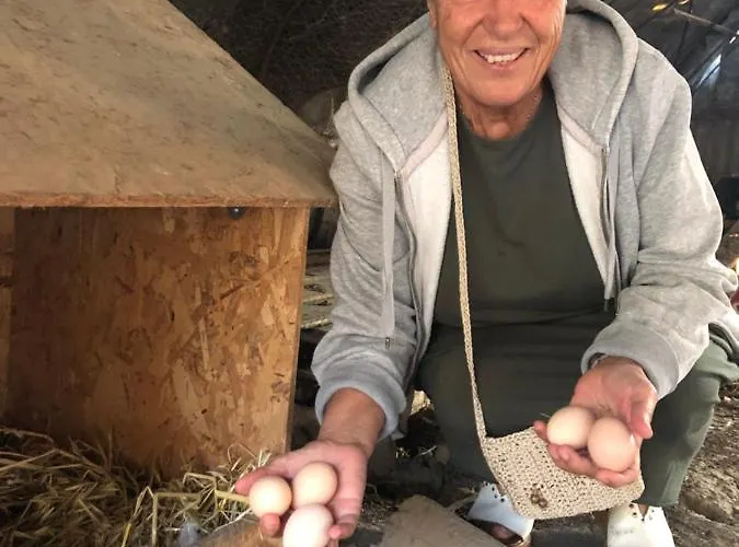 אכסניה Host El Greco *