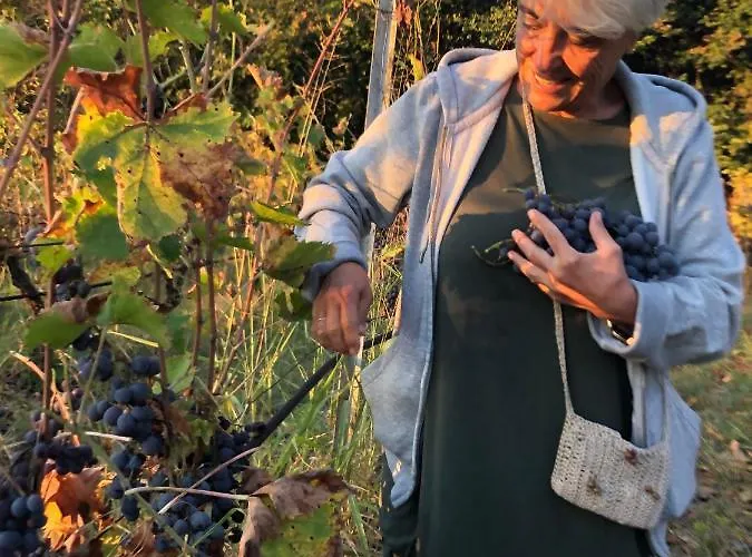 Host El Greco קאלאבאקה