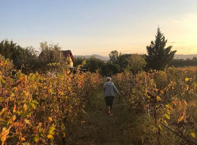 אכסניה Host El Greco קאלאבאקה