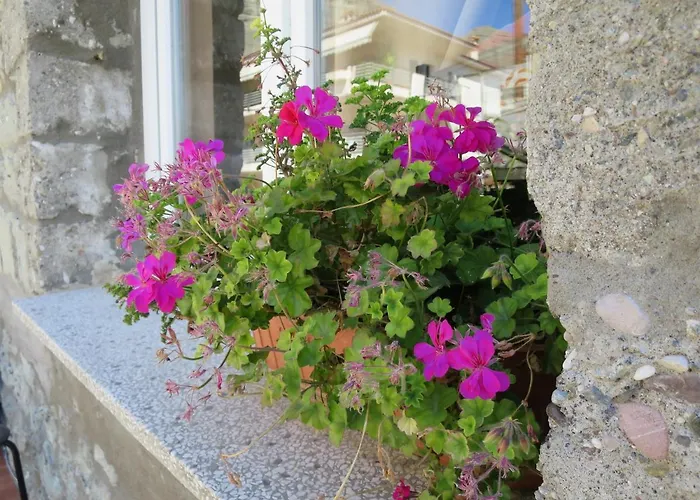 Host El Greco קאלאבאקה