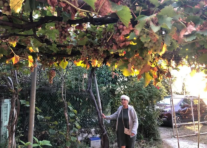 אכסניה Host El Greco קאלאבאקה