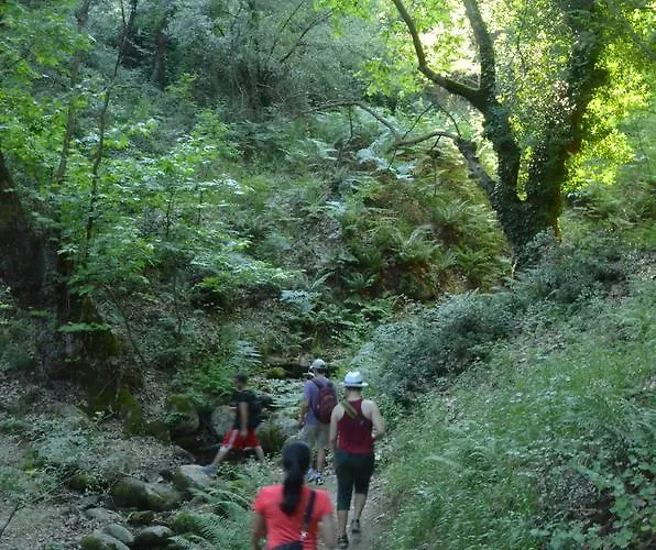 Host El Greco אכסניה *