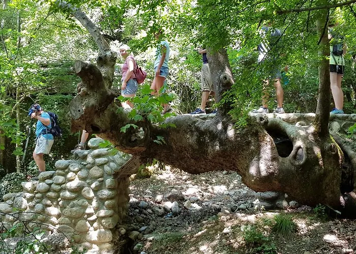 אכסניה Host El Greco קאלאבאקה