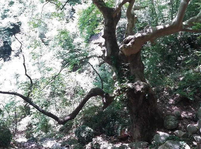 אכסניה Host El Greco